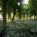 IMG_392932