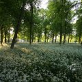 IMG_392935