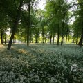 IMG_392936
