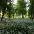 IMG_392937
