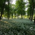 IMG_392938