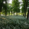 IMG_392939