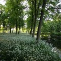 IMG_392941