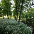 IMG_392943