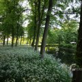 IMG_392944