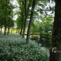 IMG_392945