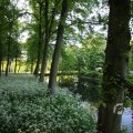 IMG_392946