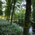IMG_392947