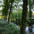 IMG_392948