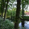 IMG_392949