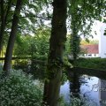IMG_392950