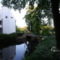 IMG_392974