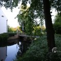 IMG_392977