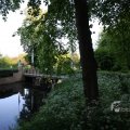 IMG_392980