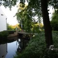 IMG_392985