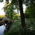 IMG_392988