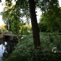 IMG_392989