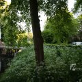 IMG_392991