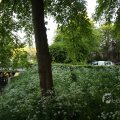 IMG_392993