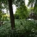 IMG_392994