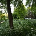IMG_392995