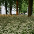 IMG_393000
