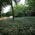 IMG_393002