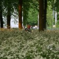 IMG_393004