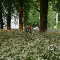 IMG_393005