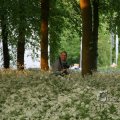 IMG_393007