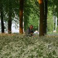 IMG_393008