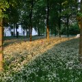IMG_393031