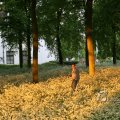 IMG_393040