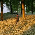 IMG_393041