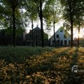 IMG_393048