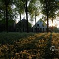 IMG_393049