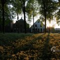 IMG_393050