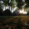 IMG_393052