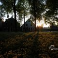 IMG_393053