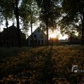IMG_393054