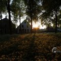 IMG_393055