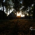 IMG_393056