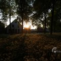 IMG_393058