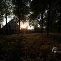 IMG_393059