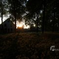 IMG_393060