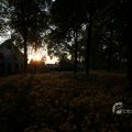 IMG_393061