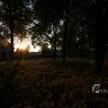 IMG_393062
