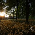 IMG_393064