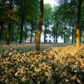 IMG_393067