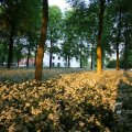 IMG_393070